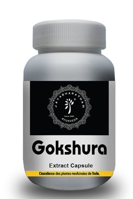 Gokshura Capsule